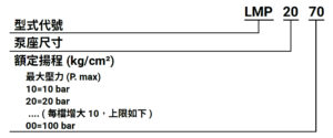 LMP 編碼原則(中文)