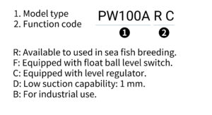 PW 編碼原則(英文)