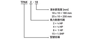 TPAK 編碼原則(中文)