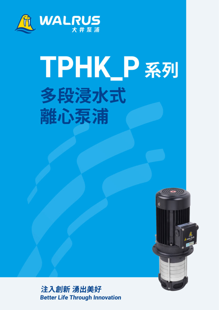 TPHK P TW000b 202403