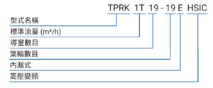 TPRK1T19 19EHSIC 編碼原則(中文)