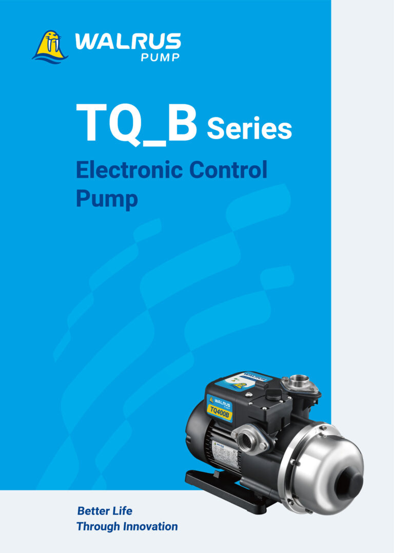 TQ B EN000b 202402新識別