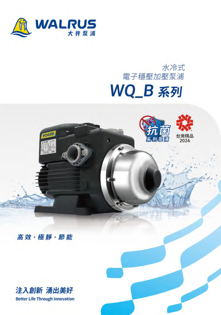 WQ B 豪華版 DE TW000 202502 S