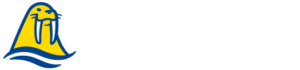 WALRUS Pump — Home