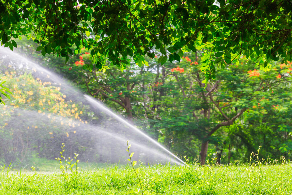 Water,Spray,In,The,Garden,Out,Dooe