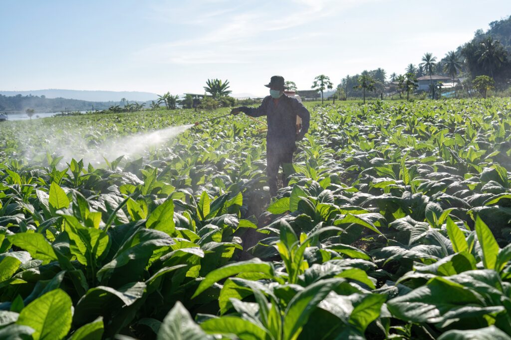 Farmer,Carry,Spraying,Engine,On,Back,And,Spray,Pesticide,Mixed