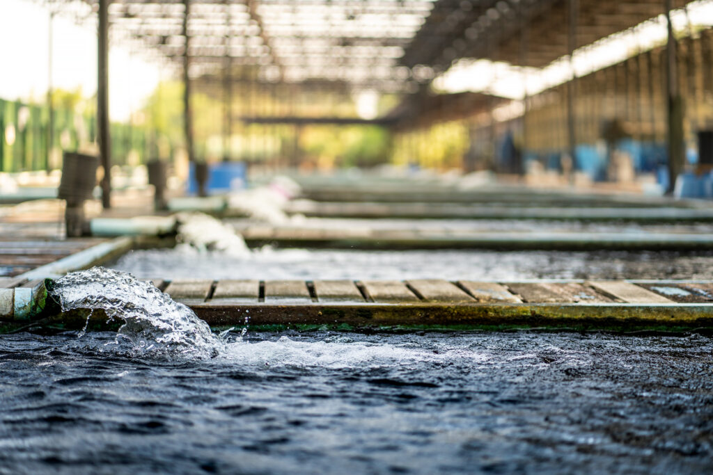 Water flow treatment system from the water pump pipe.Motion of w